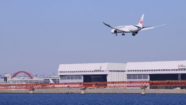 Boeing 787-8 (JA830J)