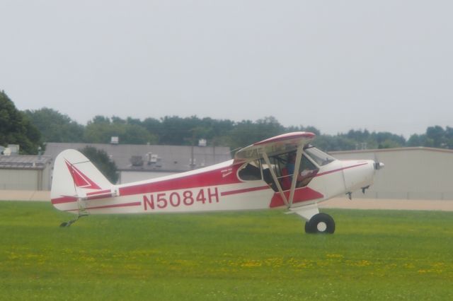 Piper L-21 Super Cub (N5084H)