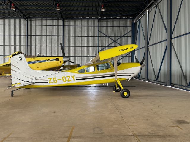 Cessna Skywagon (ZS-OZY) - A very nice C185. 03-MAR-2024.