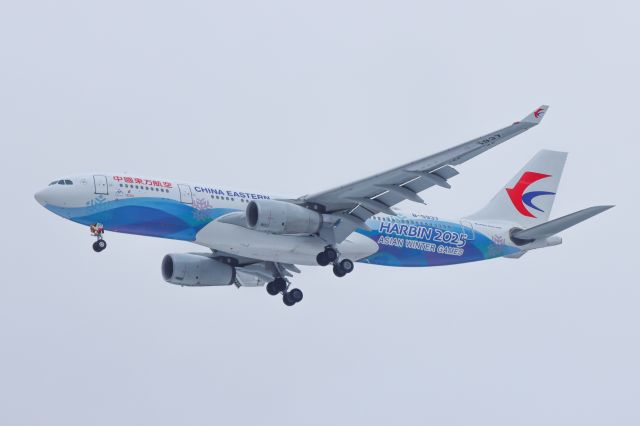 Airbus A330-200 (B-5937) - Harbin 2025 Asian Winter Games Livrey 