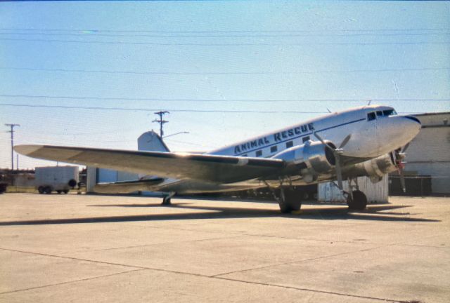 Douglas DC-3 (N143D)