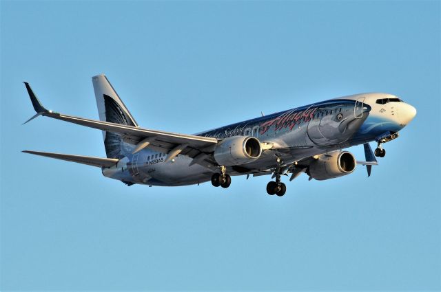 Boeing 737-800 (N559AS)