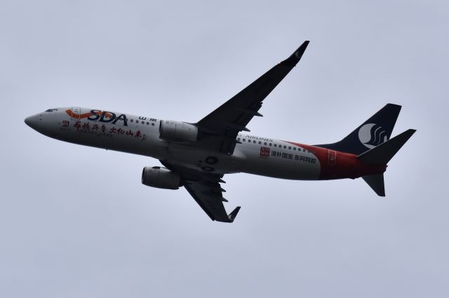 Boeing 737-800 (B-1982)