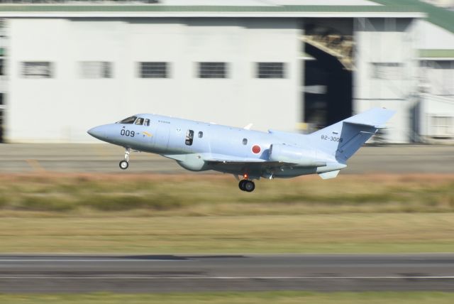 Boeing Goshawk (82-3009) - 航空自衛隊 - Japan Air Self-Defense Force Raytheon U-125A (Hawker 800) 