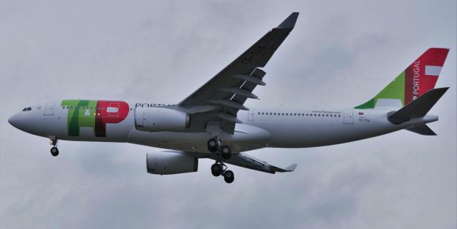 Airbus A330-200 (CS-TOS) - Inaugural flight of TAP Portugal Airlines to Boston 6/11/16 (taken from Belle Isle parking lot)