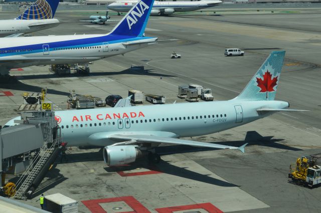 Airbus A320 (C-FDQV) - International noontime traffic at SFO