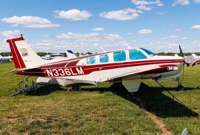 Beechcraft Bonanza (36) (N336LM)