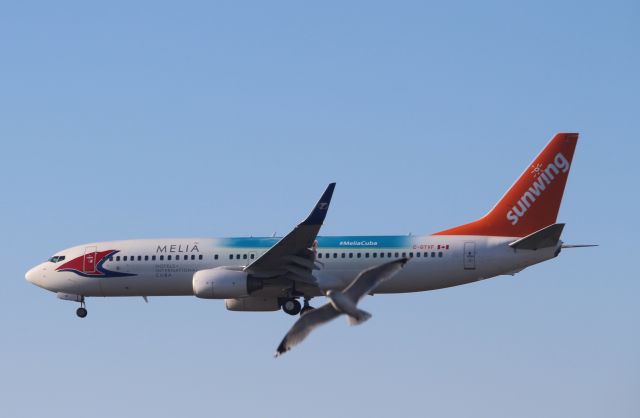 Boeing 737-800 (C-GTVF) - Two types of flight