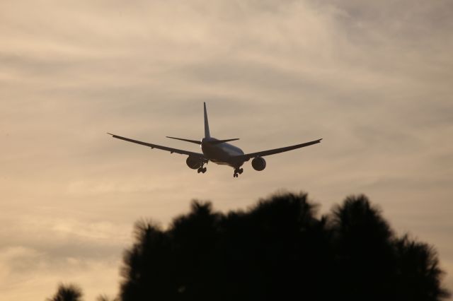 BOEING 777-200LR (D-AALM)