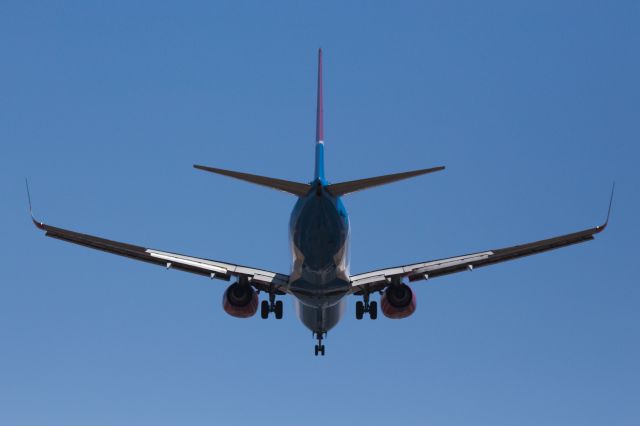 Boeing 737-800 (ZS-SJS) - This FlySafair Boeing 737-844 is on very short finals to smoke the mains on Runway 08 at Port Elizabeth International on Thursday 17 October 2019, maybe about 45 seconds after I snapped this shot at 12:56 pm when she was around 150 foot or so AGL.