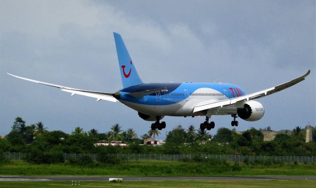 Boeing 787-8 (G-TUII)