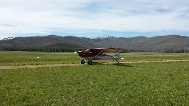 CUB Crafters CC-11 Carbon Cub (N78BK) - Bruce Meadows, ID