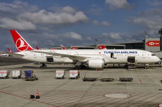 Boeing 787-9 Dreamliner (TC-LLA) - 27th Oct., 2019: Named "Maçka" after a north eastern Turkish coastal town, she's the first of six B787-900 aircraft in THY's 301 strong fleet. Delivered in late June 2019, she's seen parked at the gate in Istanbul's new airport by the Black Sea. 