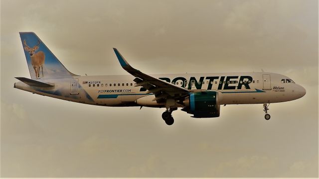 Airbus A320 (N372FR) - A Frontier A320ng Reg#372FR"Named "Watson the "Key Deer!"