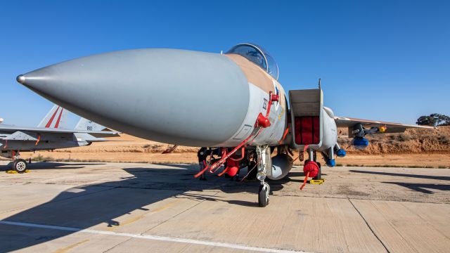 McDonnell Douglas F-15 Eagle (252)