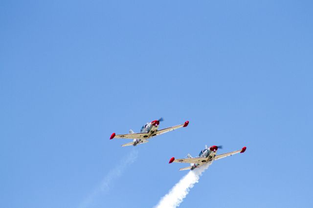 SIAI-MARCHETTI SF-260TP (N272C)