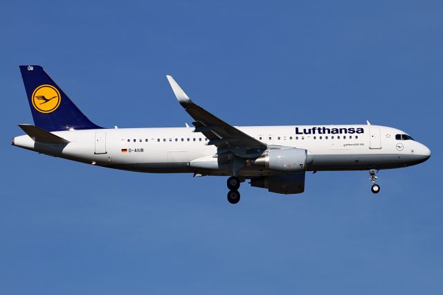 Airbus A320 (D-AIUB) - short final RWY07R, photo taken 24-Feb-2014