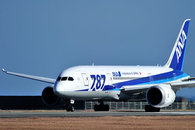 Boeing 787-8 (JA821A)