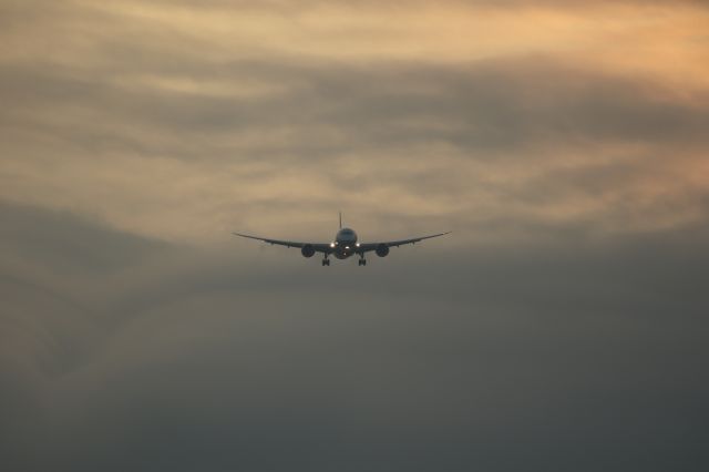 Boeing 787-8 (JA831A) - 20 July 2016:HND-HKD.