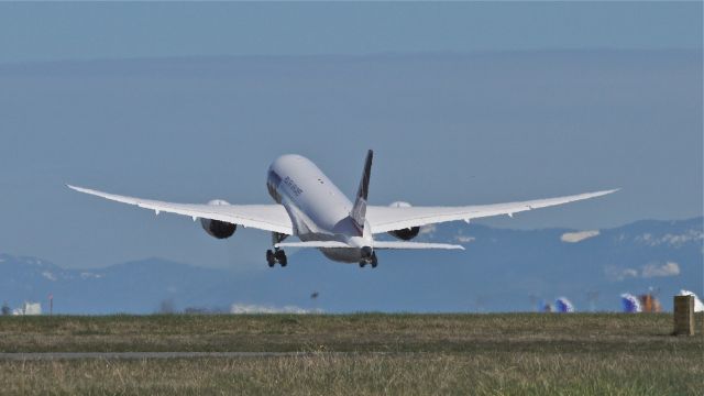 Boeing 787-8 (SP-LRC) - BOE272 lifts off runway 34L to begin a flight test on 3/25/13. The aircraft is using temp reg #N1791B. (LN:86 cn 35940).