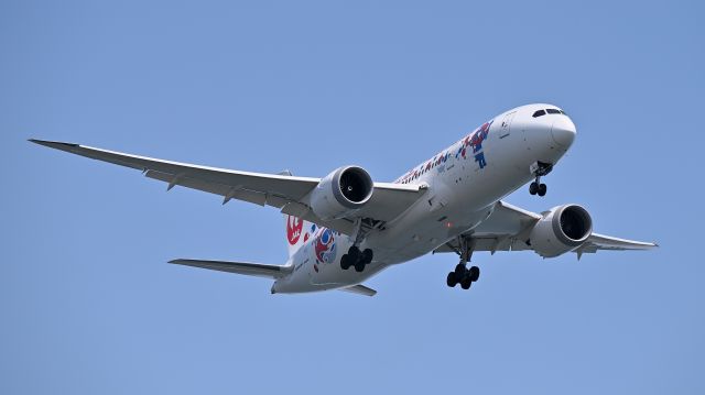 Boeing 787-8 (JA823J) - 27.Apr.2025br /Landing at RWY22(B).br /The photo was taken at Jonanjima Seaside Park.
