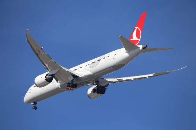 Boeing 787-9 Dreamliner (TC-LLD)