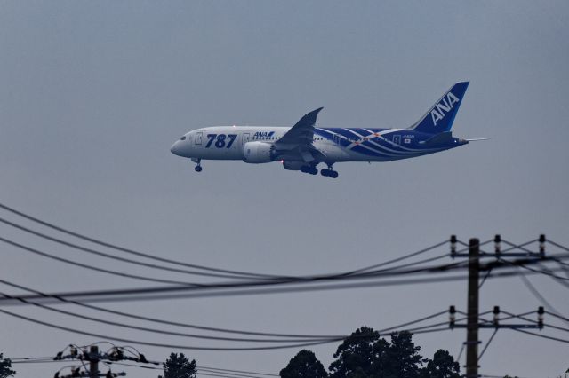 Boeing 787-8 (JA802A)