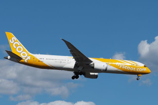 Boeing 787-9 Dreamliner (9V-OJI) - Boeing 787-9 cn 37130 Ln 839. Scoot 9V-OJI name Ojisan rwy 21 YPPH 20-11-2021