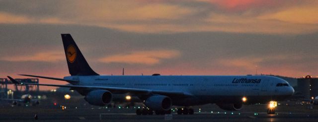 Airbus A340-600 (D-AIHO)