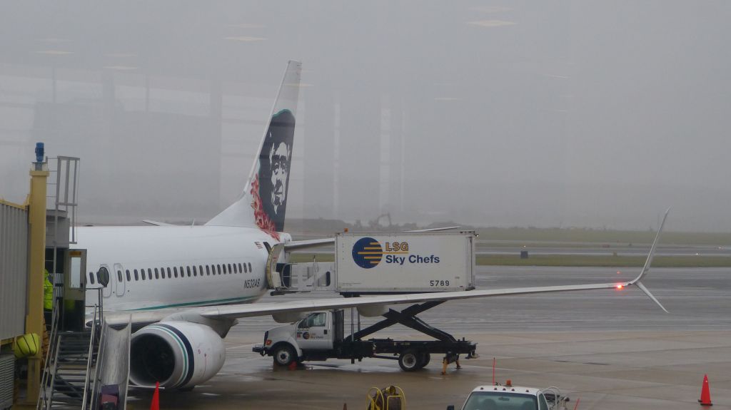 Boeing 737-800 (N532AS)