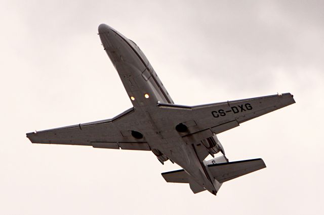 Cessna Citation Excel/XLS (CS-DXG)