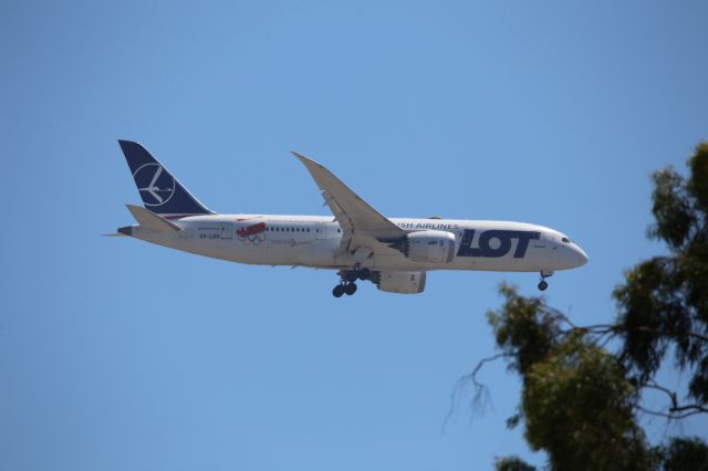 Boeing 787-8 (SP-LRH)