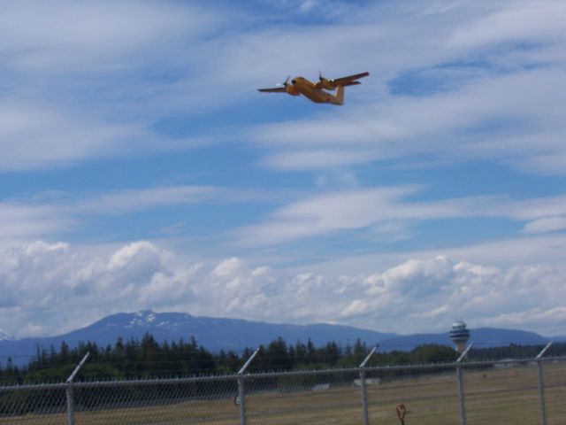 — — - 442 Sqn Search & Rescue  Aircraft CC-115 Buffalo  one of 5 SAR squadrans across Canada    Practicing (STOL)  short take-off & landing   CFB Comox