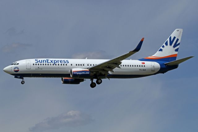 Boeing 737-800 (TC-SUI)