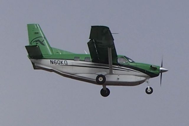 Quest Kodiak (N60KQ)