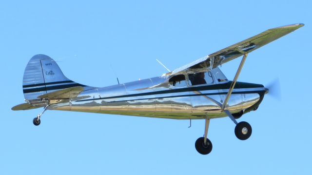 Cessna 170 (N91971)