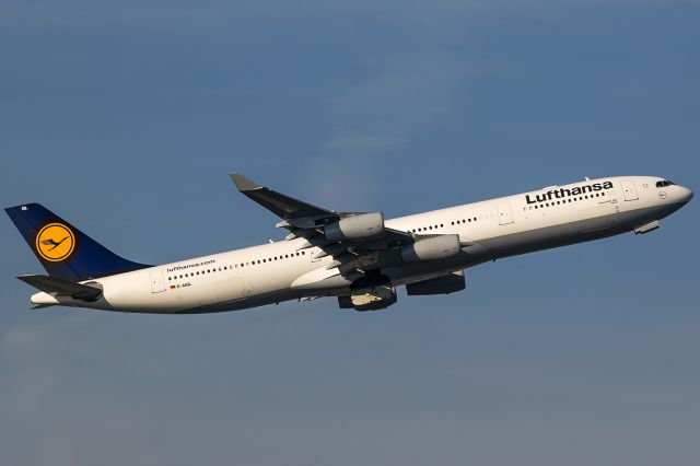 Airbus A340-300 (D-AIGL)