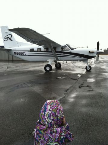 Quest Kodiak — - Freshly painted Kodiak