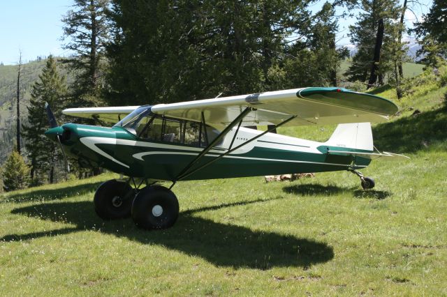 Piper L-21 Super Cub (N83516)