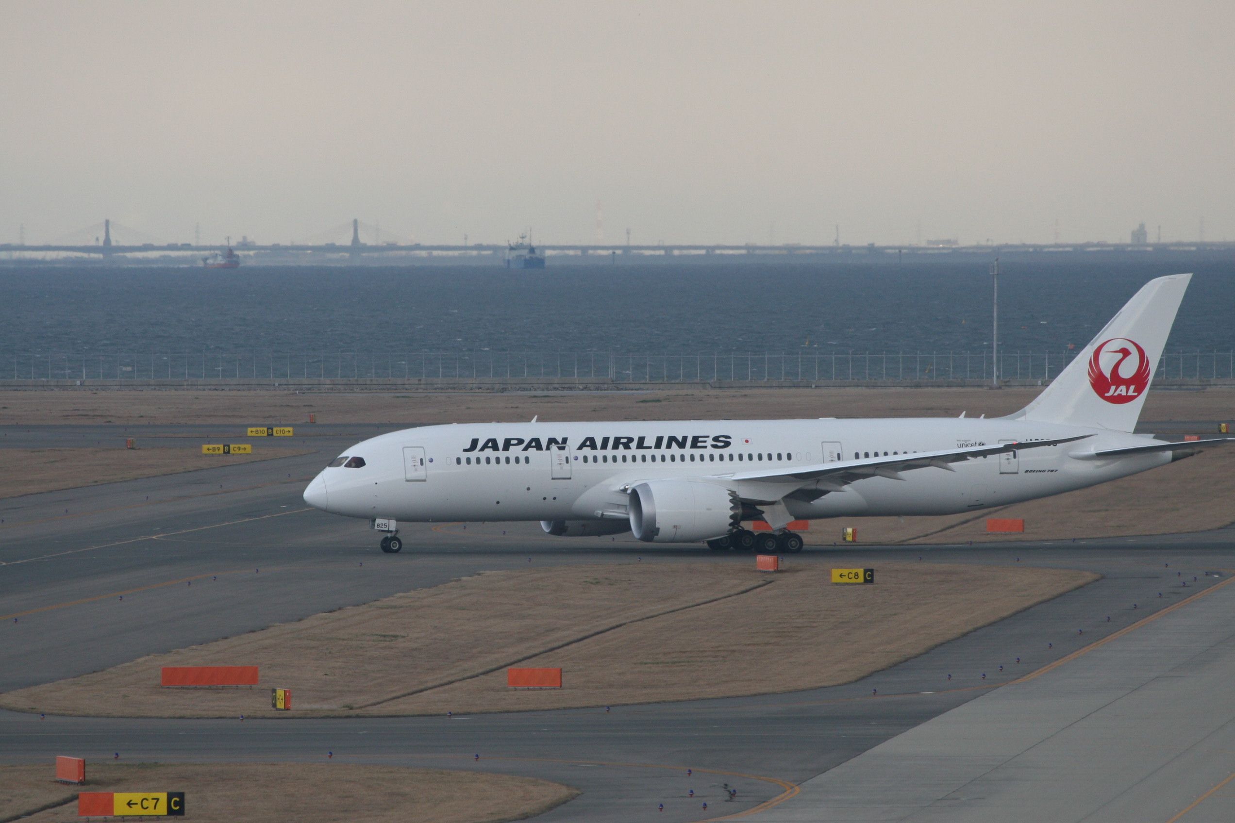 Boeing 787-8 (JA825J)
