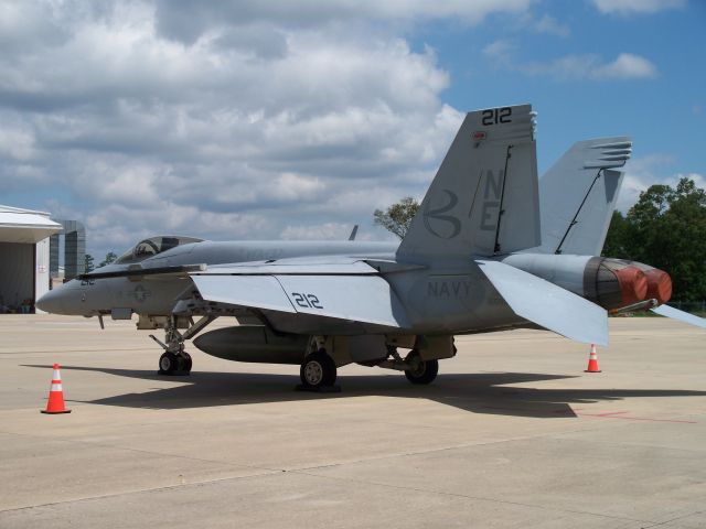 ESK212 — - VFA-137 Kestrels F-18 at Lone Star.