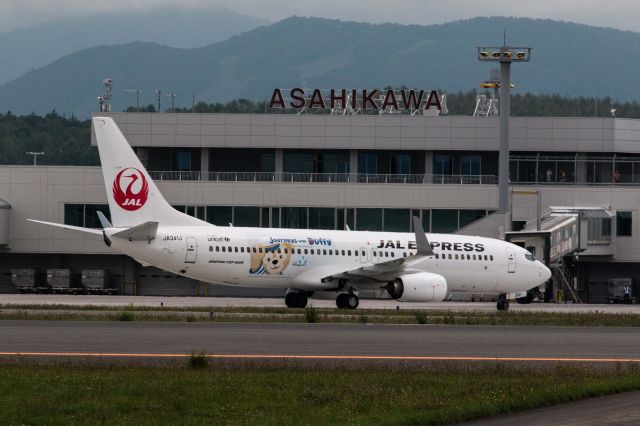 Boeing 737-700 (JA341J)