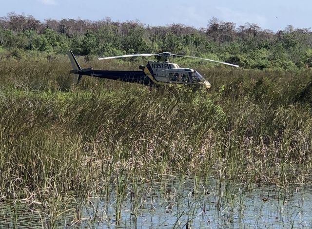 N351FW — - Loxahatchee National Wildlife Refuge