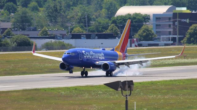 Boeing 737-700 (N7853B) - Smokey