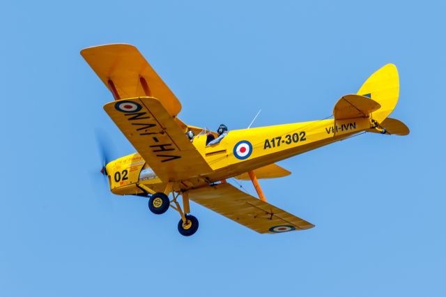 OGMA Tiger Moth (VH-IVN) - DH82A de Havilland Tiger Moth