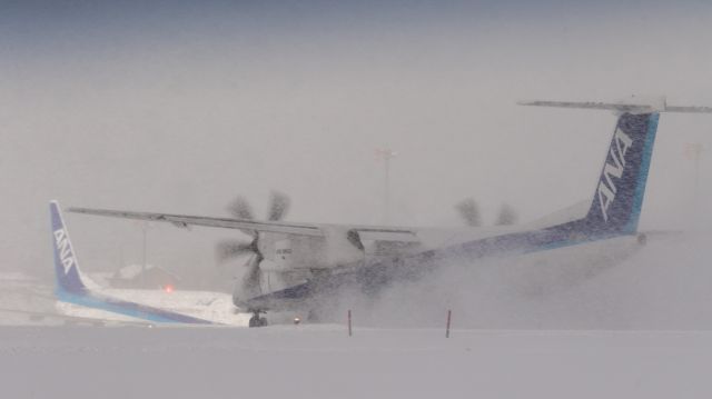 de Havilland Dash 8-400 (JA852A) - ANA Wings - AKX / Bombardier DHC-8-402Q Dash 8 [DH8D]br /Jan.11.2016 Hakodate Airport [HKD/RJCH] JAPAN