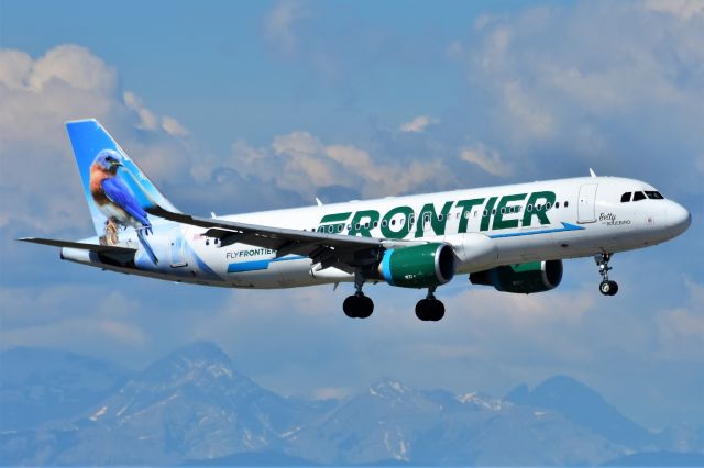 Airbus A320 (N230FR) - Frontier (Betty the Bluebird Livery) Airbus A320-214 arriving at YYC on June 16.