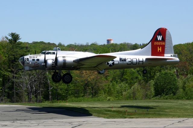 Boeing B-17 Flying Fortress (N5017N) -  Fortress One Seven November landing on 32