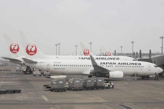 Boeing 737-800 (JA324J)