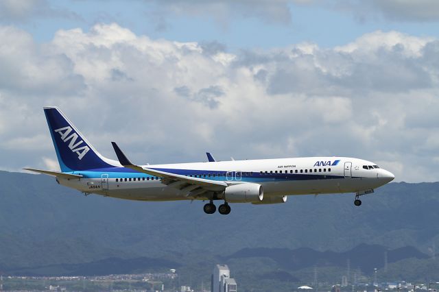Boeing 737-800 (JA61AN)
